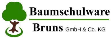 Logo Baumschulware Bruns GmbH & Co. Kg Baum mit braunem Stamm und gruener Krone unter dem Stamm ist ein gruener Grassstreifen angedeutet